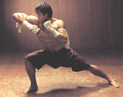 Бій з тінню в тайському боксі і не тільки - це один з ефективних вправ, що годяться для того, щоб відпрацювати техніку рухів, куди входять як удари, так і переміщення