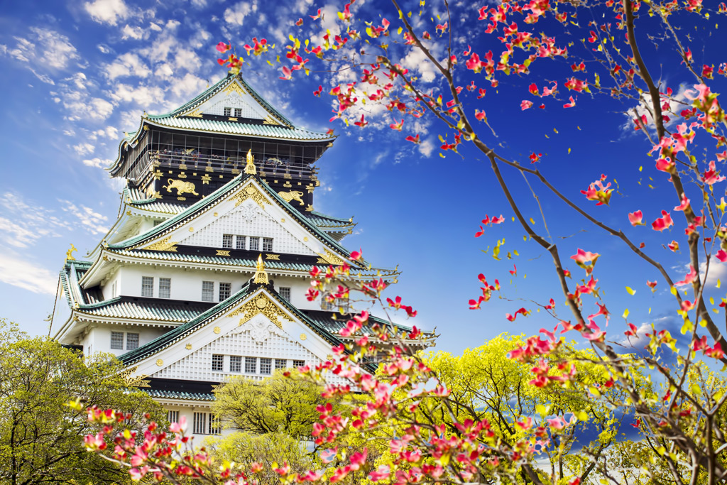 Дістатися до Одаварі з Токіо можна експресом або звичайним поїздом, поїздка не займе більше 1,5 годин